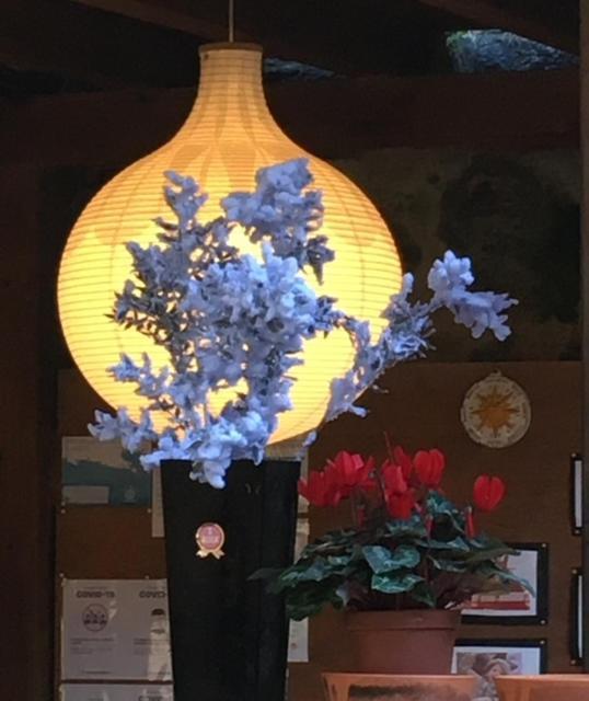 克莱莉亚别墅酒店 莱万托 外观 照片